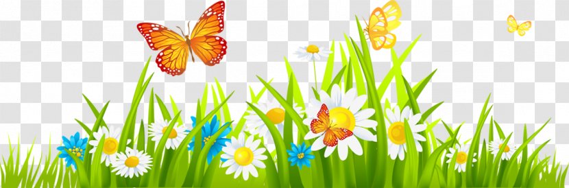 Butterfly Flower Clip Art - Grass Transparent PNG