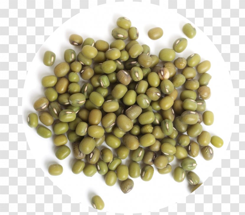 Mung Bean Broad Food Nutrition Facts Label - Beans Transparent PNG
