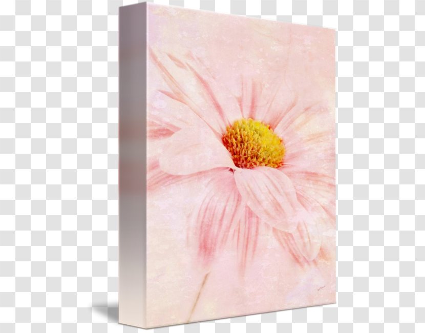 Transvaal Daisy Acrylic Paint Still Life Photography Floral Design - Resin - Canvas Wall Transparent PNG