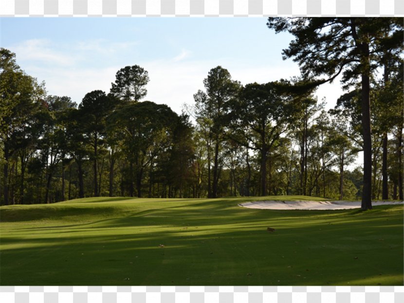 Golf Course Clubs Lawn - Structure Transparent PNG