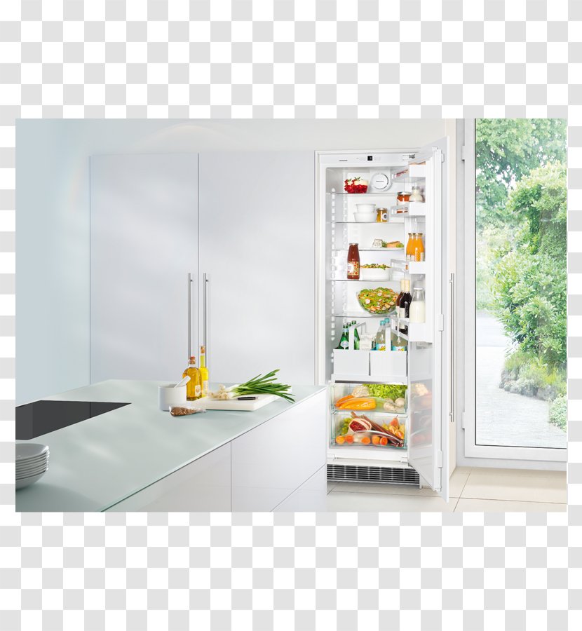 Liebherr Group Freezers Refrigerator Built In Freezer - Autodefrost Transparent PNG