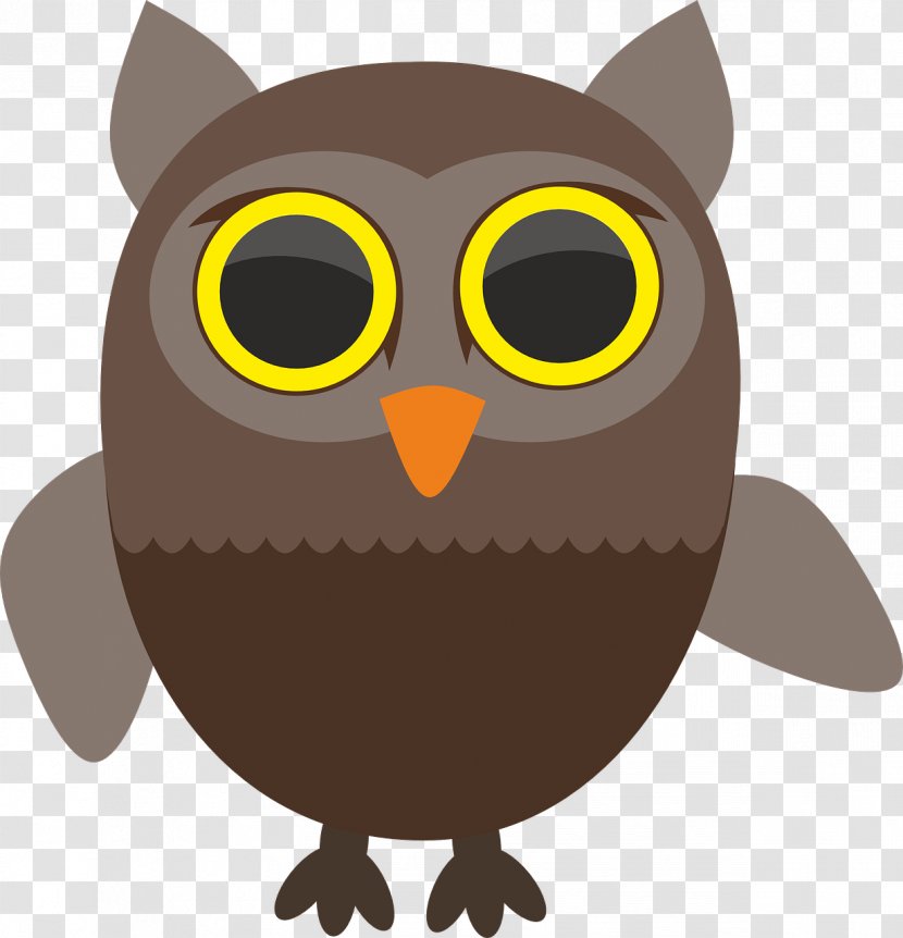 Owl Bird Clip Art - Beak - Owls Transparent PNG
