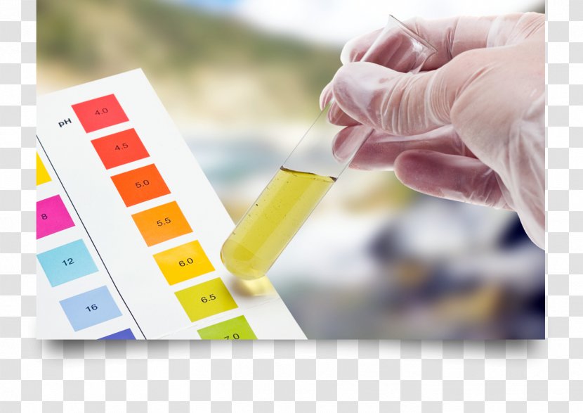 PH Indicator Alkaline Diet Alkalinity Acid - Chemical Substance - Test Pass Transparent PNG