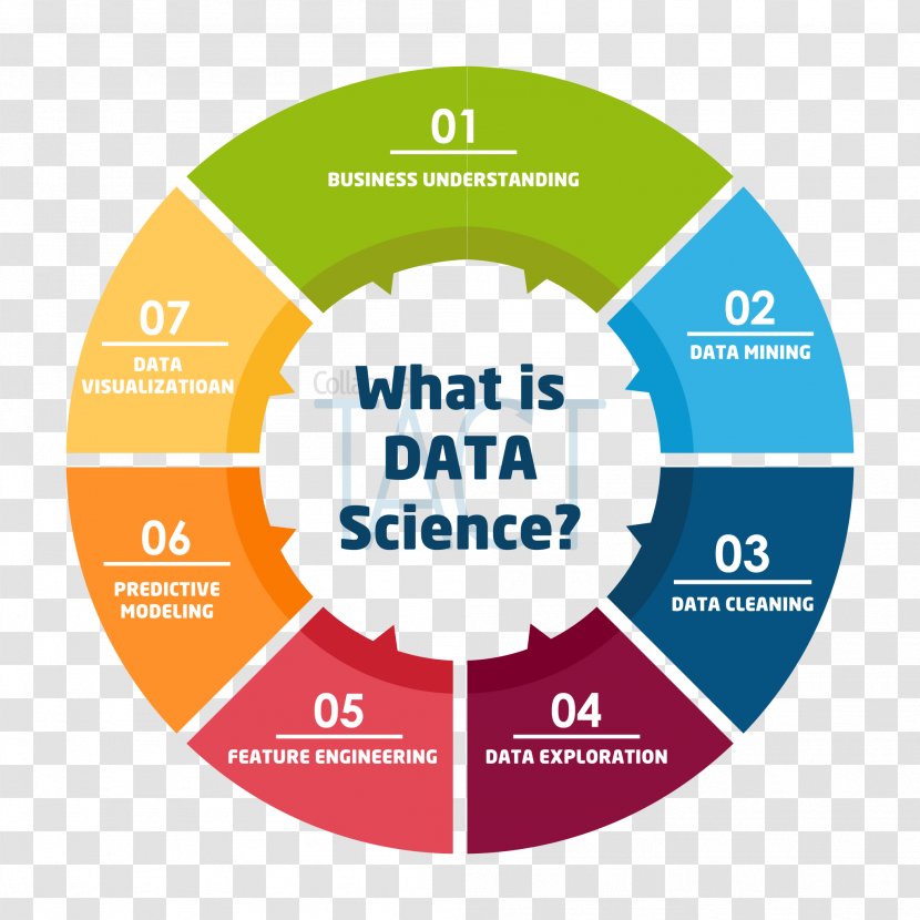 Infographic Template - Information - Data Science Transparent PNG
