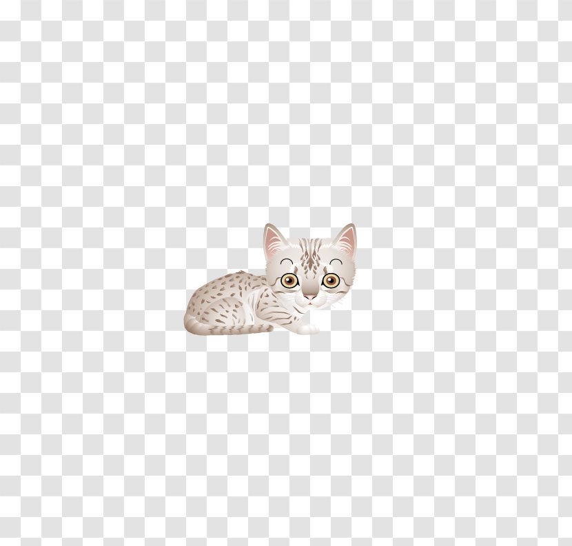 Kitten Tabby Cat Domestic Short-haired Whiskers - Small To Medium Sized Cats - Gray Transparent PNG
