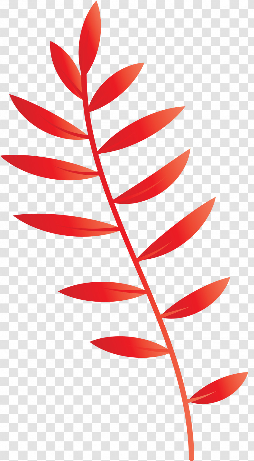 Plant Stem Petal Leaf Line Plants Transparent PNG