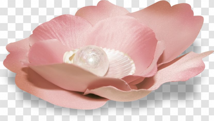 Pink M Cut Flowers Petal - Floaty Transparent PNG