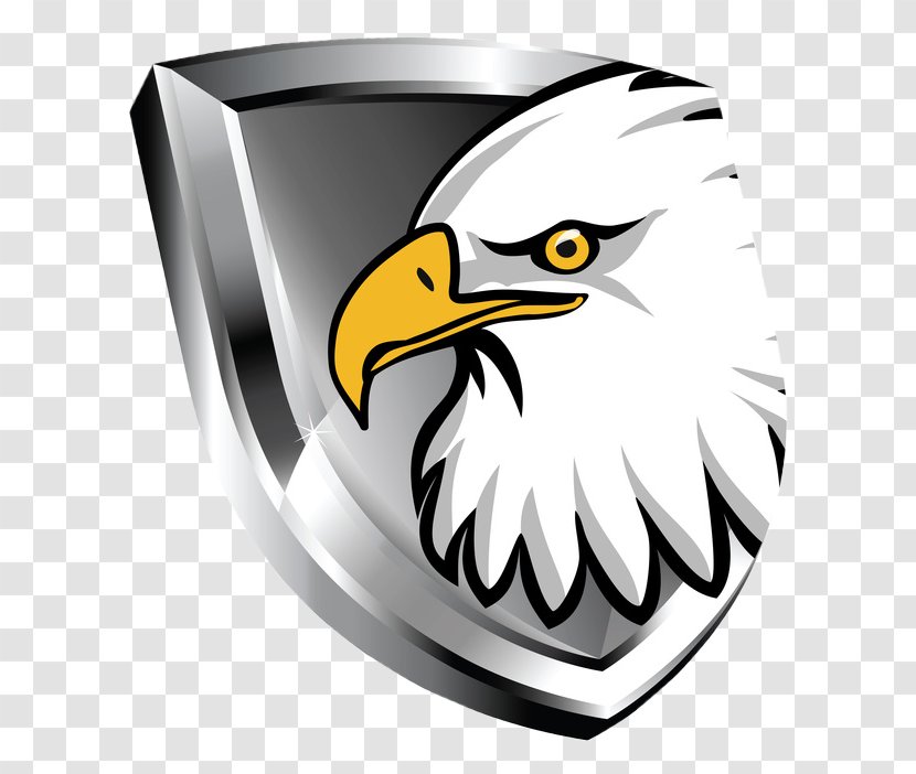 Cruz Azul Bald Eagle Drawing Clip Art - Bird Transparent PNG