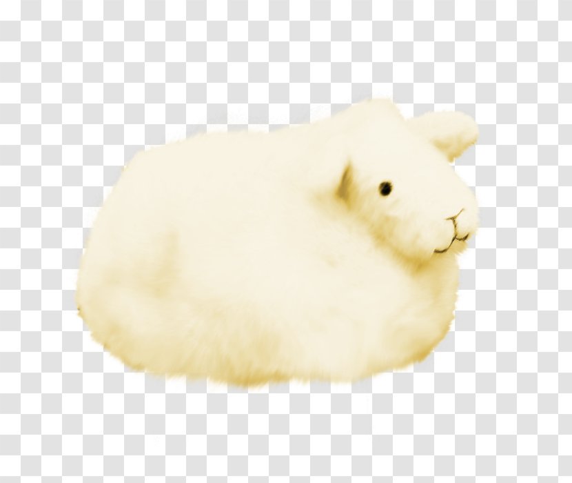 Domestic Rabbit Fur Snout Muroidea Transparent PNG