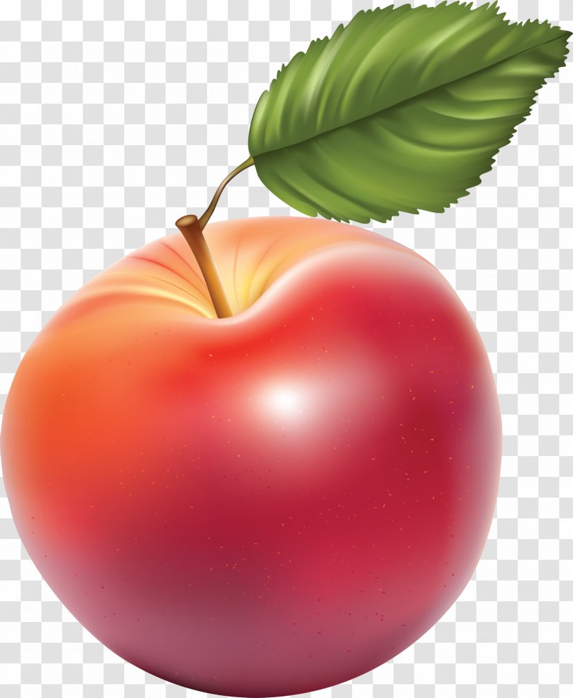 Apple Fruit Clip Art - Presentation Transparent PNG