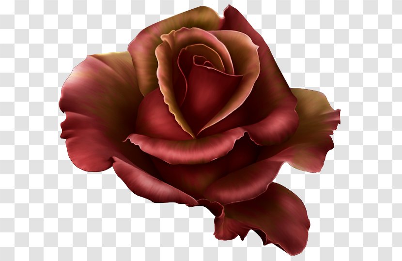Rose Cdr Clip Art - Autocad Dxf - Dark Red Roses Transparent PNG