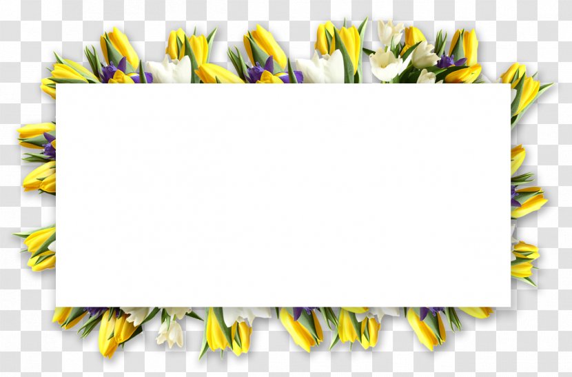 Flower Graphic Design Floral - Yellow - Collection Petals Transparent PNG