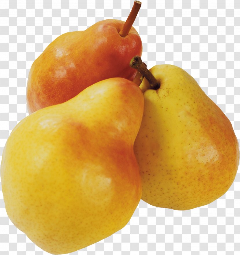 Pear Vegetarian Cuisine Accessory Fruit - Apple Transparent PNG