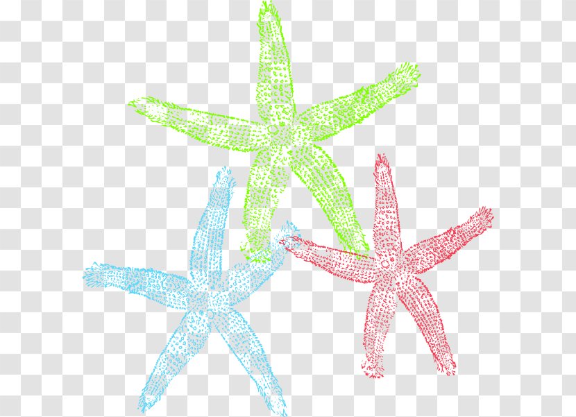Free Content Starfish Royalty-free Clip Art - Public Domain - Cliparts Transparent PNG