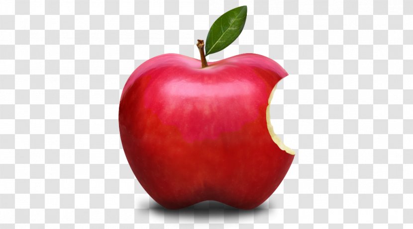 Apple Tree Drawing - Seedless Fruit Vegan Nutrition Transparent PNG