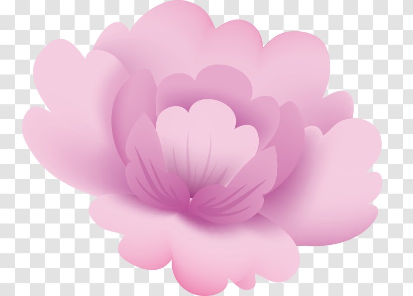 Rose Peony Herbaceous Plant Close-up Petal - Heart - Wedding,Corner Flower Transparent PNG