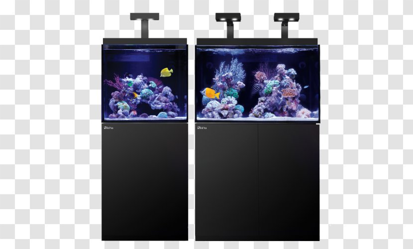 Red Sea Reef Aquarium Light-emitting Diode Coral - Sump Transparent PNG