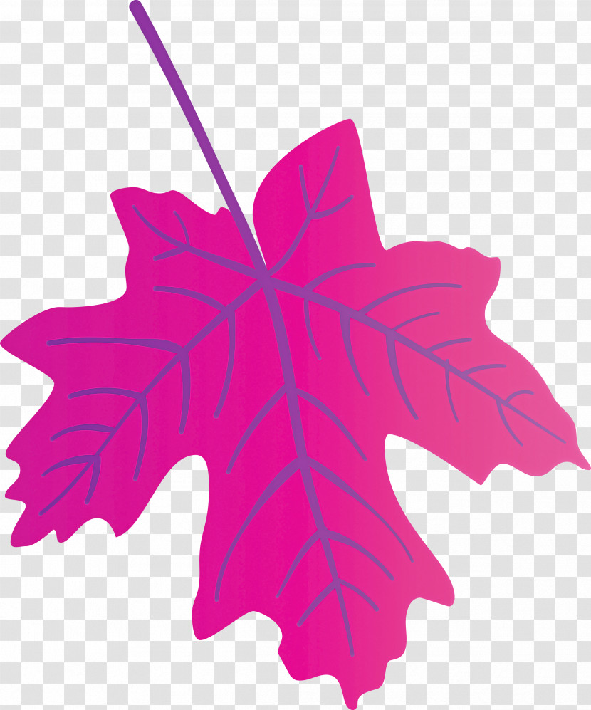 Autumn Leaf Colourful Foliage Colorful Leaves Transparent PNG