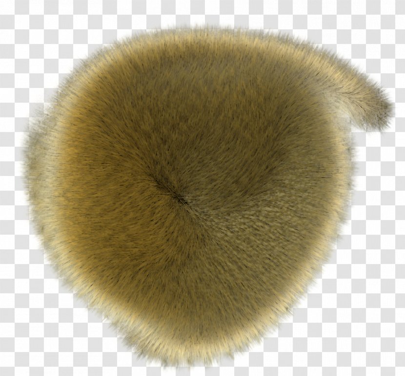 Fur Snout - Fuzzy Transparent PNG