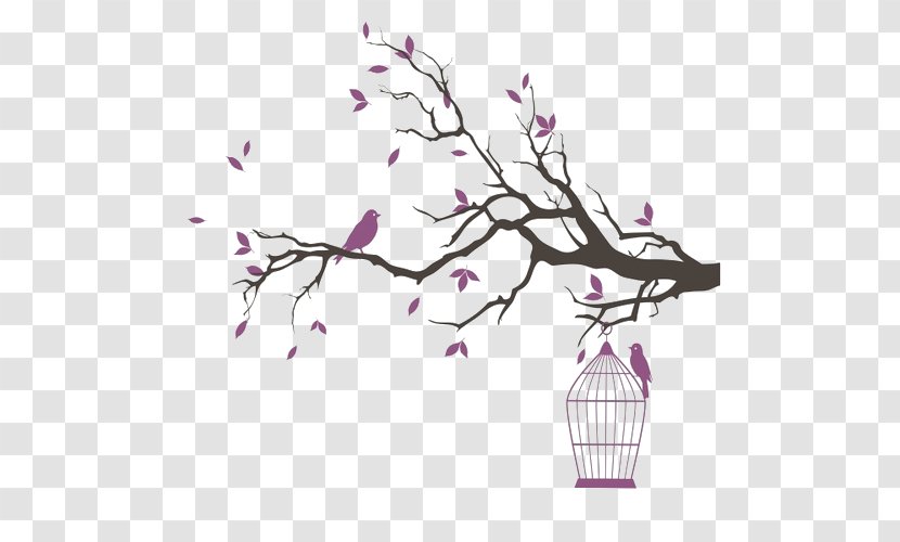 Birdcage Drawing - Cherry Blossom - Cartoon Branches Transparent PNG