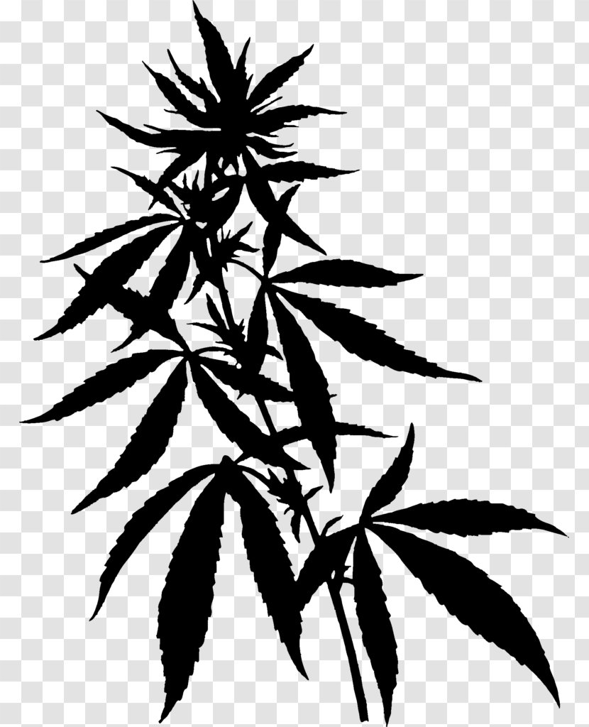 Cannabidiol Hemp Oil Cannabinoid Cannabis - Psychoactive Drug - Antiinflammatory Transparent PNG