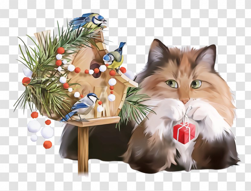 Christmas Ornament - Norwegian Forest Cat - Ragdoll Persian Transparent PNG