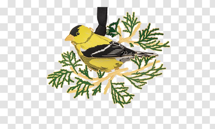 Twig Background - Hinge - Oriole Transparent PNG