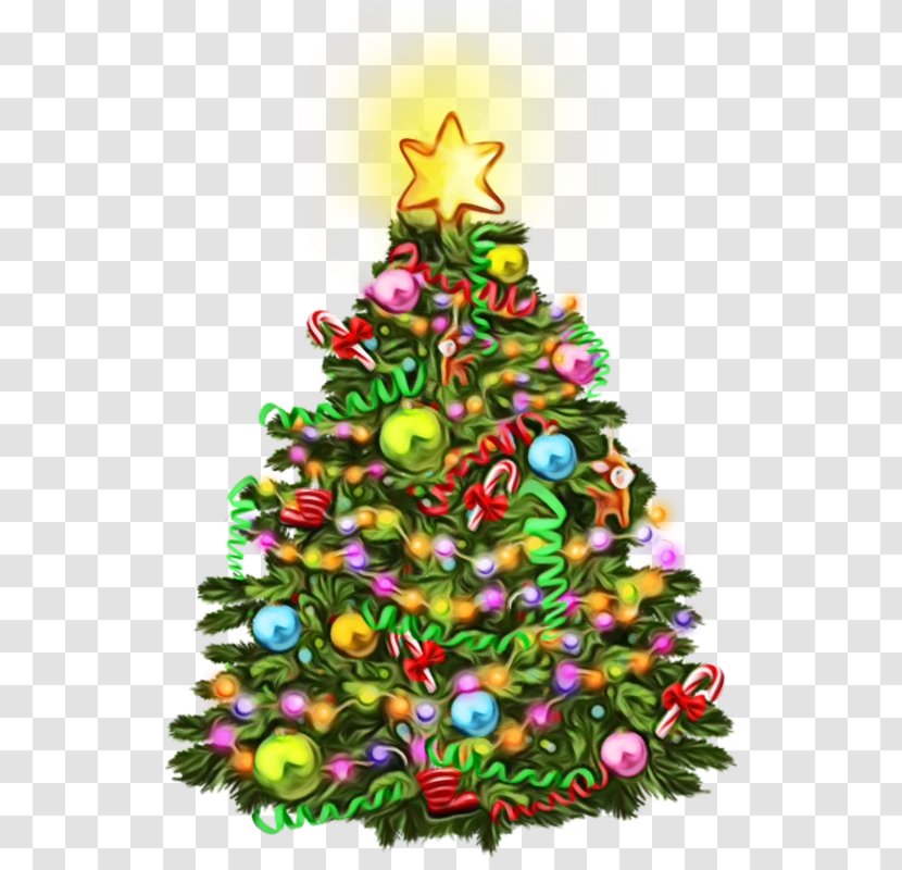 Christmas Tree - Pine - Conifer Transparent PNG