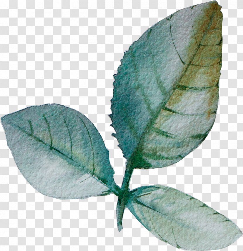 Leaf Paper - Plant - Leaves Transparent PNG