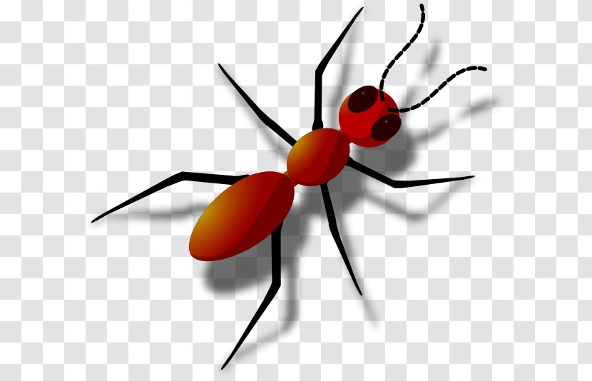 Black Garden Ant Clip Art - Fly Transparent PNG