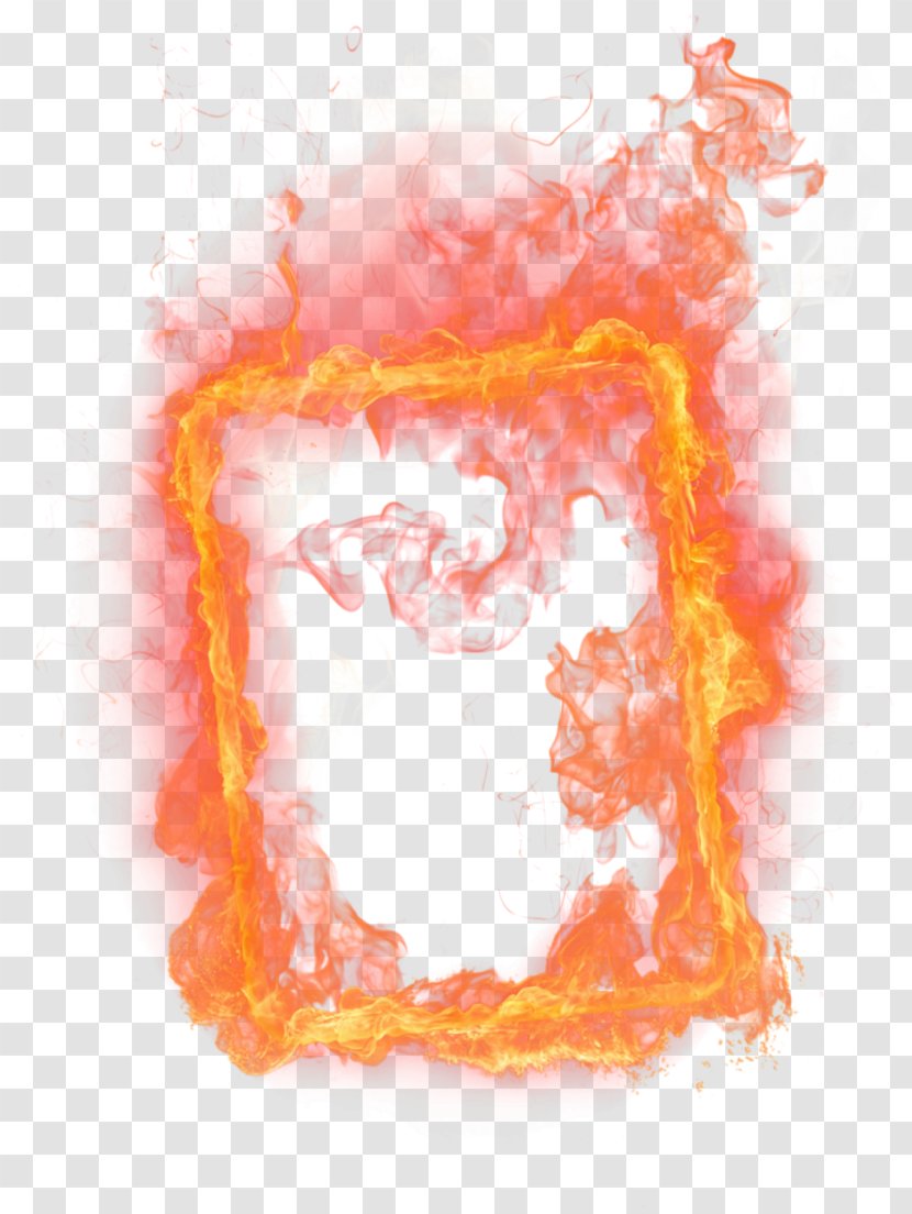 Flame Picture Frames Photography - Tree - Pouring Transparent PNG