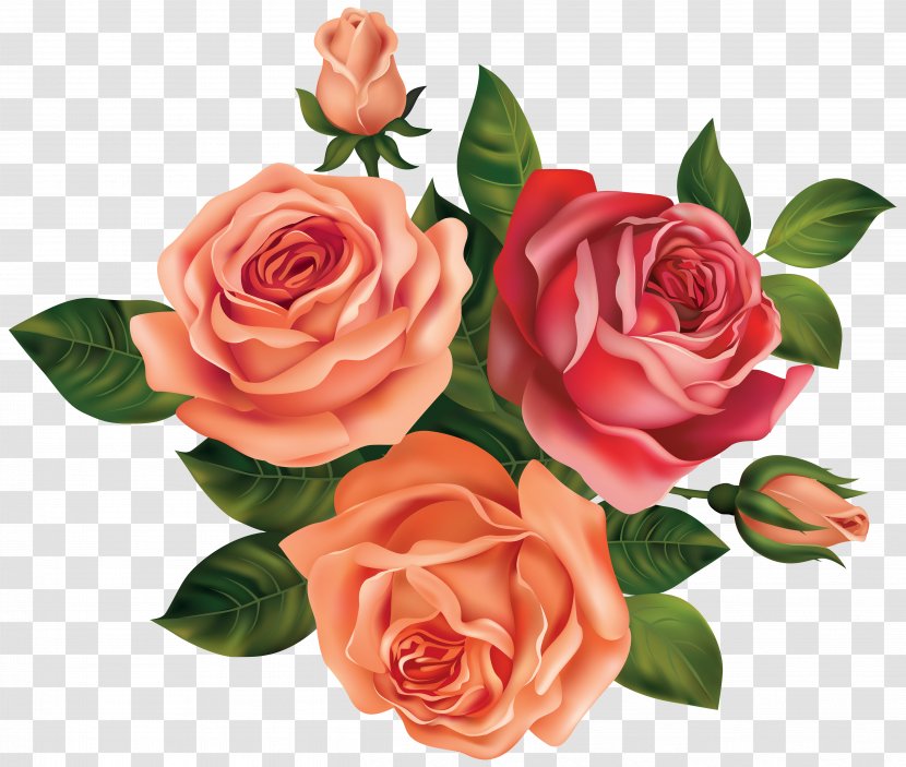 Rose Flower Clip Art - Artificial - Beautiful Roses Clipart Image Transparent PNG