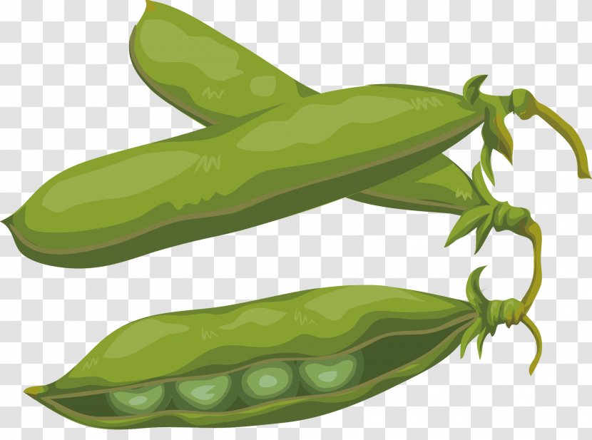Edamame Soybean Vegetable Green Pea Transparent PNG