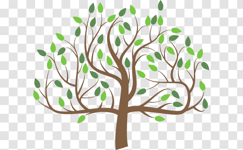 Branch Tree Clip Art - Family Transparent PNG