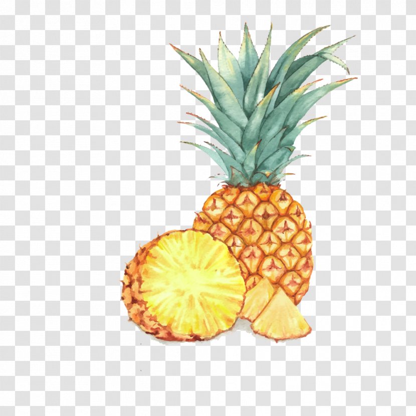 Fruit Watercolor Painting Drawing Illustration - Food - A Pineapple Transparent PNG