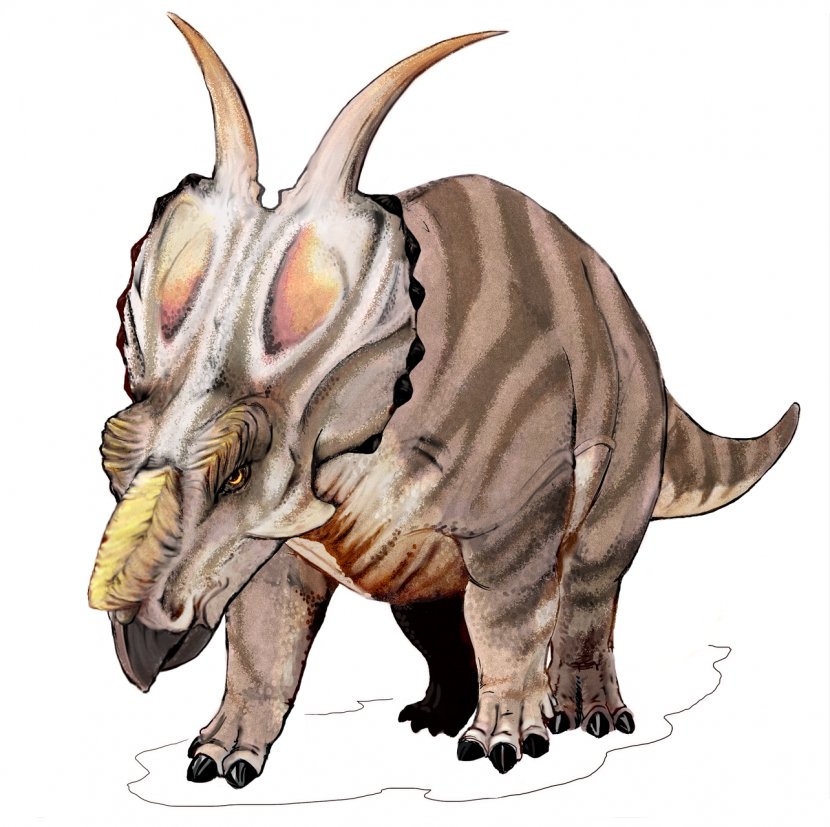 Centrosaurus Einiosaurus Pachyrhinosaurus Styracosaurus Achelousaurus - Late Cretaceous - Dinosaur Transparent PNG