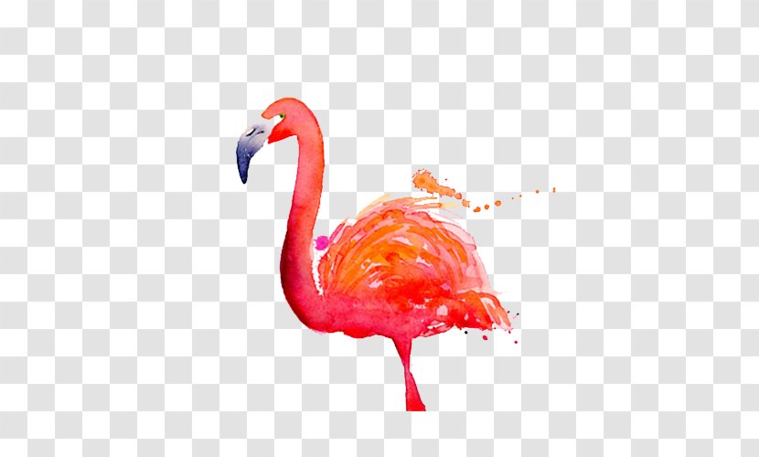 Flamingo Watercolor Painting Dribbble - Flamingos - Painted Transparent PNG