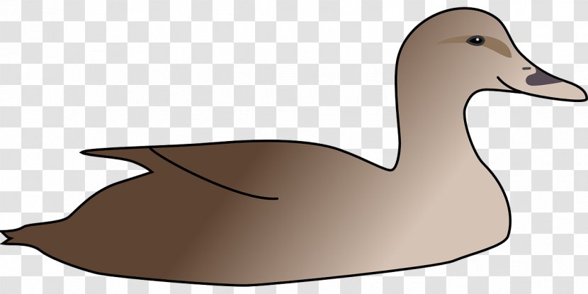 Duck Cygnini Clip Art Transparent PNG