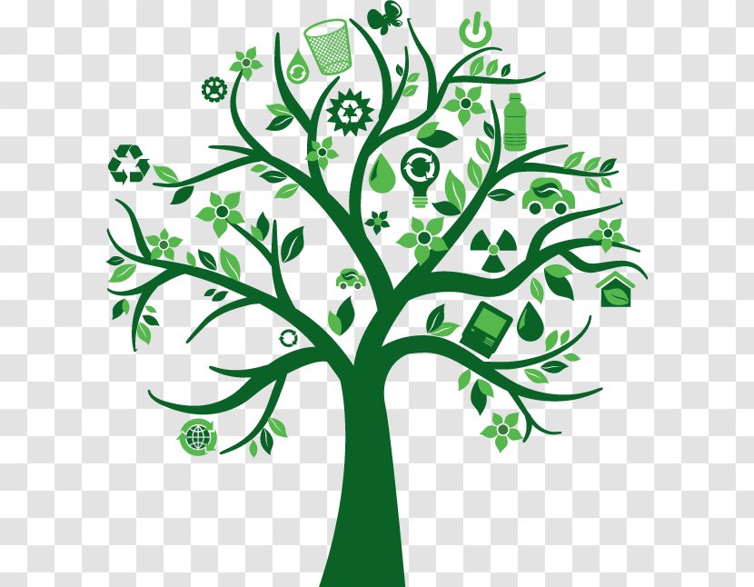 System Natural Environment Project Organization - Line Art - Green Tree Transparent PNG