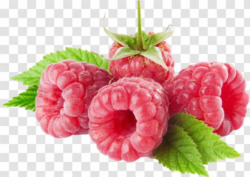 Raspberry Fruit Clip Art Image - Superfruit Transparent PNG