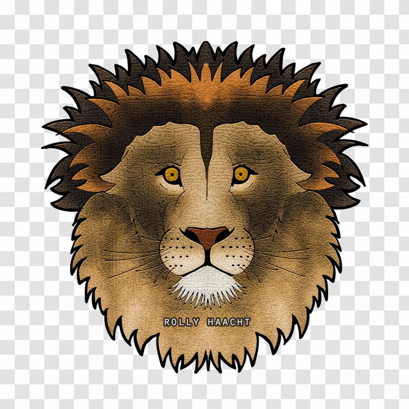 Lion Cat Whiskers Snout Terrestrial Animal - Mammal Transparent PNG
