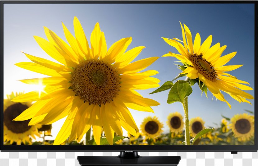 LED-backlit LCD Samsung Smart TV High-definition Television 1080p - Tv Transparent PNG