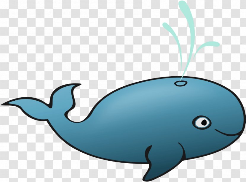 Whale Cartoon - Whales - Cetacea Transparent PNG