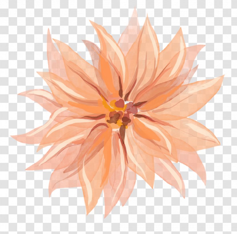 Dahlia - Flower - Spray Tan Transparent PNG