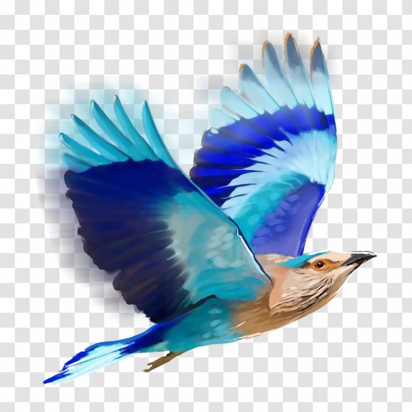 Bird Editing PicsArt Photo Studio - Beak - Flock Of Birds Transparent PNG