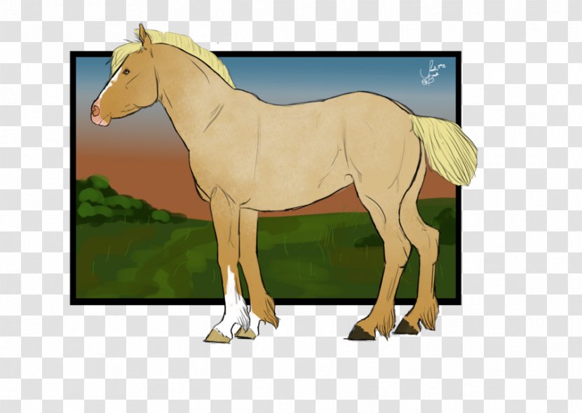 Foal Stallion Mare Mustang Colt - Grass - Champagn Transparent PNG