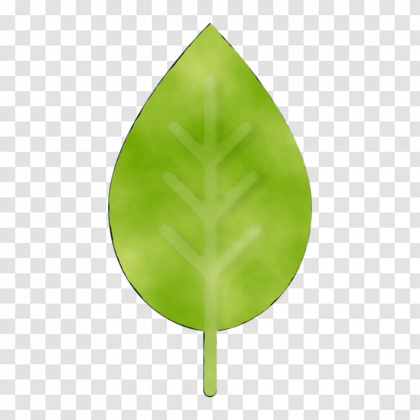 Green Leaf - Anthurium Transparent PNG