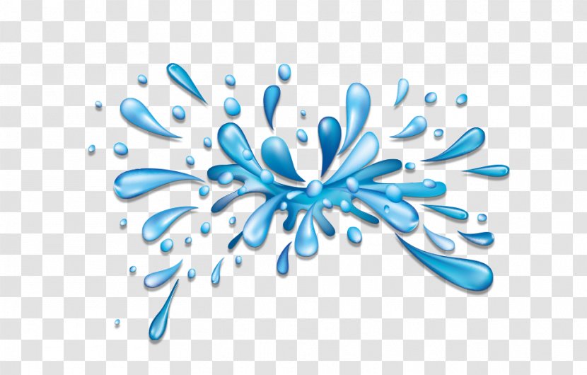 Drawing Splash - Flower - Painting Transparent PNG