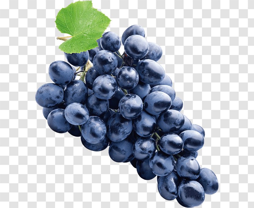 Sultana Concord Grape Zante Currant Common Vine - Superfood Transparent PNG