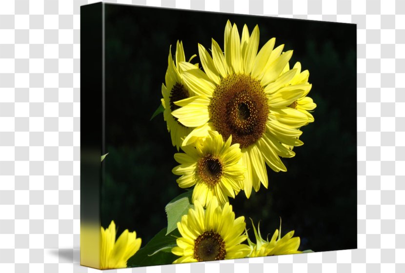 Car Yellow Total Sum Of Squares Lunchbox - Cut Flowers - Oil Painting Blue Sky Transparent PNG